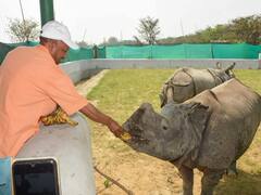 UP News: कार्यवाहक सीएम योगी आदित्यनाथ ने चिड़ियाघर में गैंडों की जोड़ी को कुछ यूं किया प्यार, देखें तस्वीरें