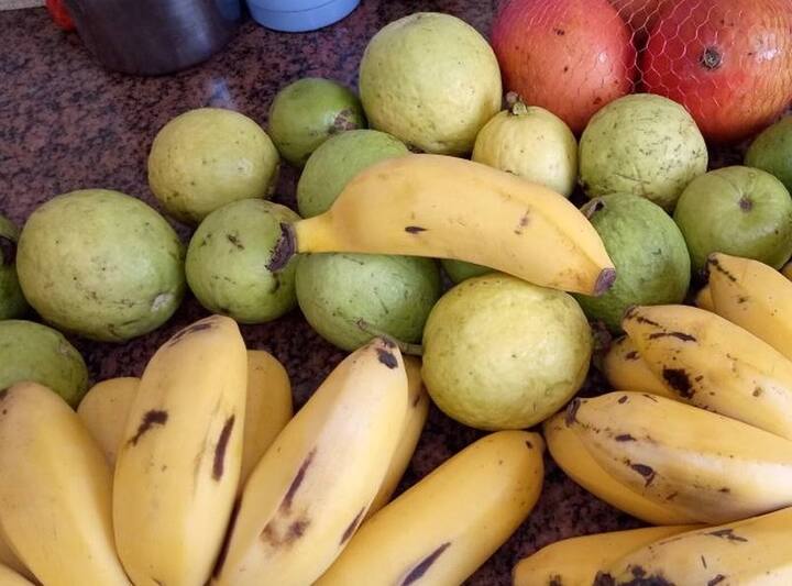 ভিটামিন যুক্ত উপকারী ফল গুলোর মধ্যে পেয়ারা ও কলা উল্লেখযোগ্য। তবে এই ফল দুটো একসঙ্গে খেলে বিষের সমান। কারন এই দুটি ফলই গ্যাসে সমস্যা বাড়িয়ে তোলে।