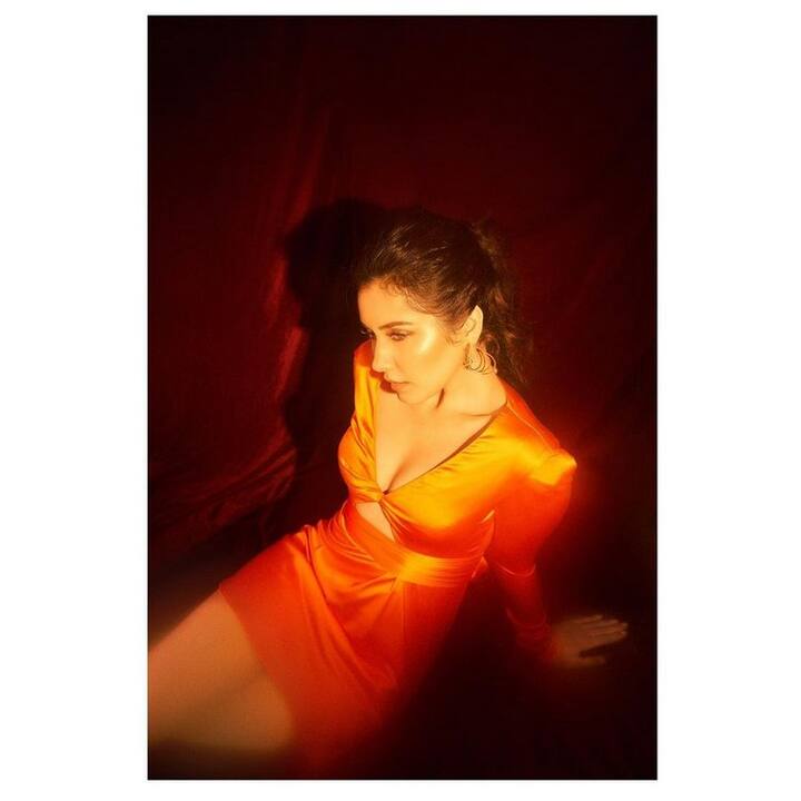 రవితేజ, ఎన్టీఆర్ లాంటి అగ్ర హీరోల సినిమాల్లో నటించింది. మధ్యలో ఎందుకో అవకాశాలు తగ్గాయి. (Courtesy : Raashi khanna Instagram)