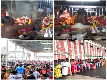Postponement of appeal case for regularization of VIP visions in Thiruchendur திருச்செந்தூரில் விஐபி தரிசனங்களை முறைப்படுத்துவதற்கான மேல்முறையீட்டு வழக்கு ஒத்திவைப்பு