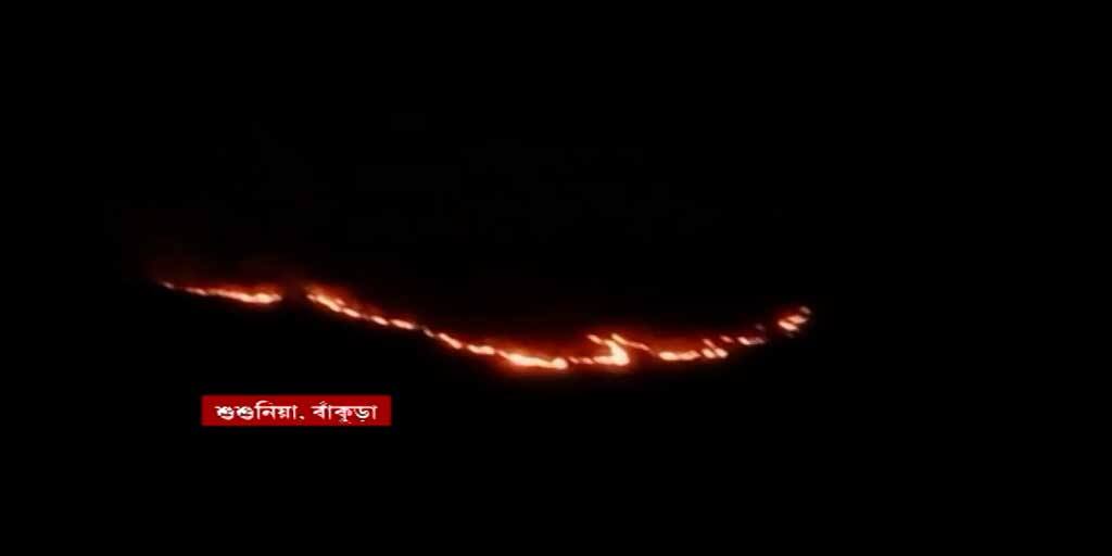 Bankura Susunia Hill catches fire again several years in a row now Bankura News: অন্ধকার ফুঁড়ে উঠে আসছে আগুনের লেলিহান শিখা, দাউদাউ করে জ্বলছে শুশুনিয়া পাহাড়