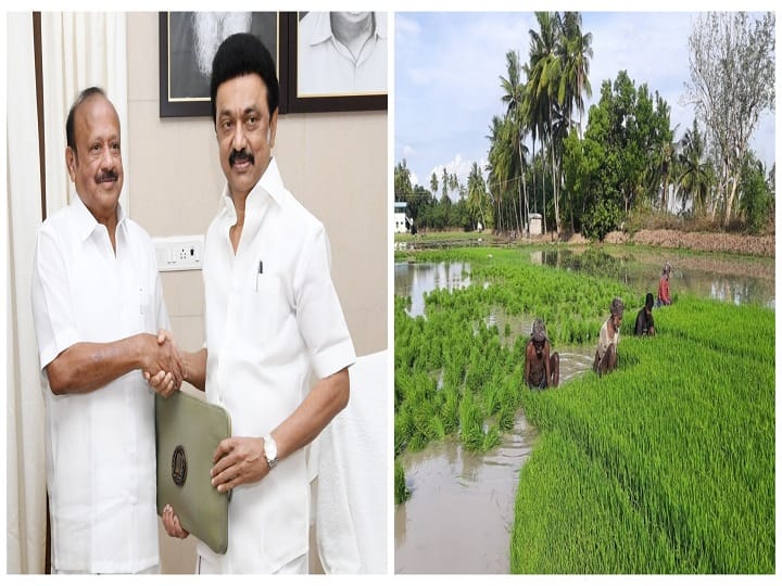 Agriculture Budget 2022: Unpublished Agricultural College announcement - Thiruvarur district farmers disappointed Agriculture Budget 2022: வெளியாகாத வேளாண் கல்லூரி அறிவிப்பு - திருவாரூர் மாவட்ட விவசாயிகள் ஏமாற்றம்