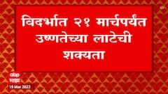Vidharbha Temperature: विदर्भात 21 मार्चपर्यंत उष्णतेच्या लाटेची शक्याता ABP Majha