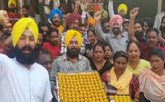 ਵਿਜੇ ਸਿੰਗਲਾ ਦੇ ਮੰਤਰੀ ਬਣਨ 'ਤੇ ਮਾਨਸਾ 'ਚ ਖ਼ੁਸ਼ੀ ਦਾ ਮਾਹੌਲ