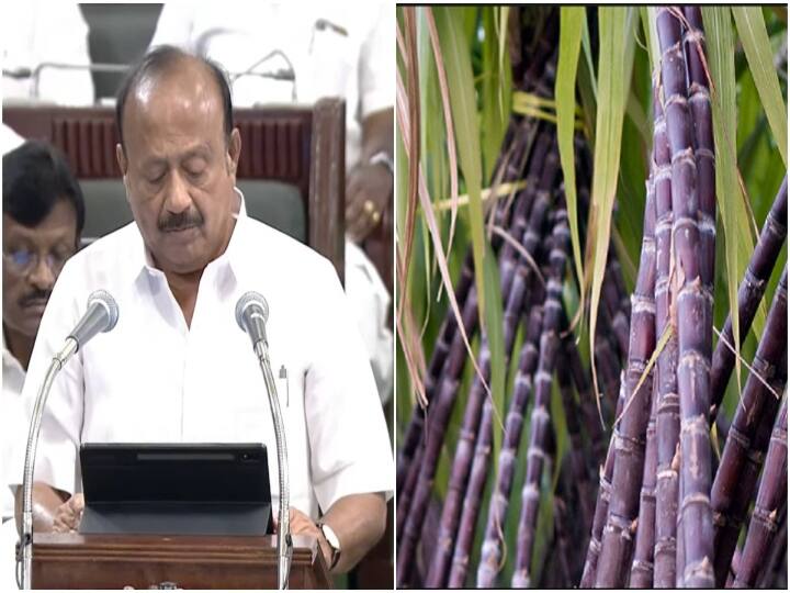 TN Agri Budget 2022: கரும்பு விவசாயிகளுக்கு சிறப்பு ஊக்கத்தொகை..! ரூ.10 கோடியில் உபகரணங்கள்...! வேளாண் பட்ஜெட்டில் அறிவிப்பு..