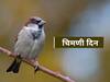 World Sparrow Day 2022 : 'या चिमण्यांनो परत फिरा...', जागतिक चिमणी दिवस स्पेशल रिपोर्ट