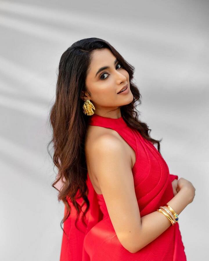 ప్రియాంక అరుళ్ మోహన్ లేటెస్ట్ ఫొటోలు (Photo Credit: Priyanka Arul Mohan Instagram)