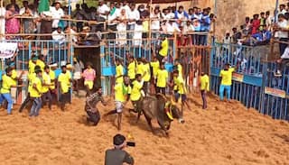 அவனியாபுரம் ஜல்லிக்கட்டு போட்டி -  தென்கால் பாசன விவசாயிகள் சங்கத்தினரே நடத்த அனுமதி கோரி மனு