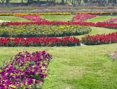 ਜੇ ਤੁਸੀਂ ਵੀ ਬਾਗਬਾਨੀ ਦੇ ਸ਼ੌਕੀਨ ਤਾਂ ਆਪਣੇ ਪਰਿਵਾਰ ਤੇ ਦੋਸਤਾਂ ਨਾਲ ਘੁੰਮ ਆਓ ਦਿੱਲੀ ਦੇ ਇਹ ਪਾਰਕ ਤੇ ਚੌਕ