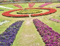 ਜੇ ਤੁਸੀਂ ਵੀ ਬਾਗਬਾਨੀ ਦੇ ਸ਼ੌਕੀਨ ਤਾਂ ਆਪਣੇ ਪਰਿਵਾਰ ਤੇ ਦੋਸਤਾਂ ਨਾਲ ਘੁੰਮ ਆਓ ਦਿੱਲੀ ਦੇ ਇਹ ਪਾਰਕ ਤੇ ਚੌਕ