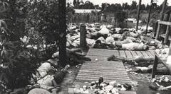 ਅੰਧਵਿਸ਼ਵਾਸ ਨੇ ਲਈ 900 ਲੋਕਾਂ ਦੀ ਜਾਨ! ਹਰ ਥਾਂ ਲਾਸ਼ਾਂ ਹੀ ਲਾਸ਼ਾਂ, ਮੰਜ਼ਰ ਵੇਖ ਹਰ ਕਿਸੇ ਦੀ ਕੰਬ ਜਾਏ ਰੂਹ