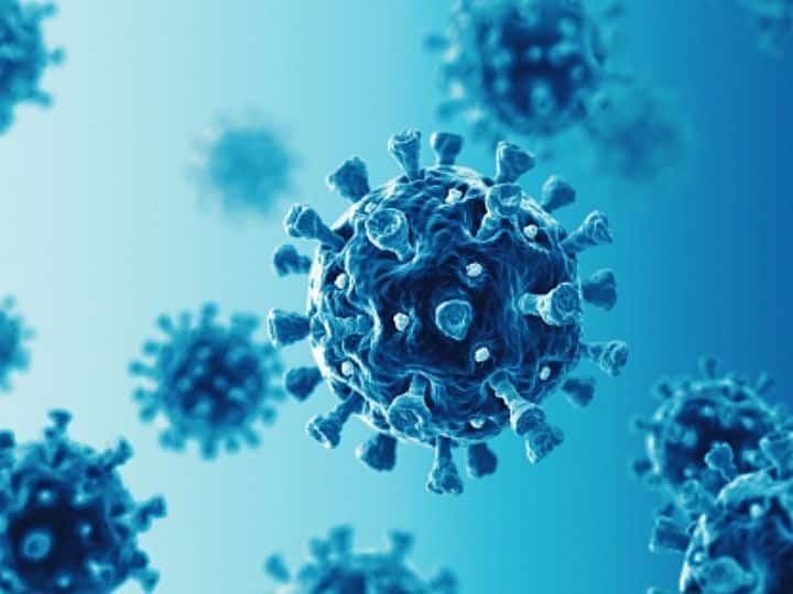 Future Covid-19 Waves Unlikely To Have Major Impact In India, Say Experts Future Covid-19 Waves Unlikely To Have Major Impact In India, Say Experts
