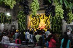 Sankashti Chaturthi : दगडूशेठ गणपती मंदिरात तब्बल 2 हजार किलो द्राक्षांची आरास