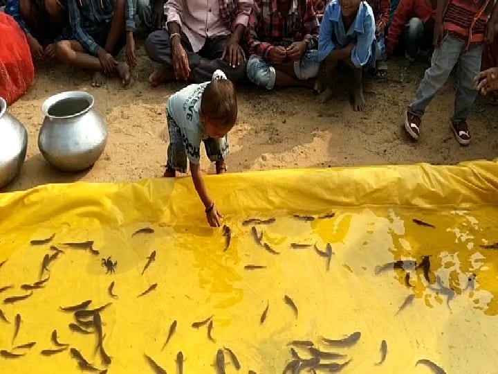Chhattisgarh strange competition in bairagi village after 2 days of Holi, there is a tradition of crab, squirrel race ann Chhattisgarh: इस गांव में होली के 2 दिन बाद होती है अजीबोगरीब प्रतियोगिता...केकड़ा, गिलहरी, मुर्गा दौड़ की है परंपरा