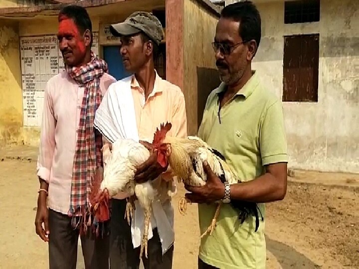 Chhattisgarh: इस गांव में होली के 2 दिन बाद होती है अजीबोगरीब प्रतियोगिता...केकड़ा, गिलहरी, मुर्गा दौड़ की है परंपरा
