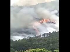 चीन में पहाड़ों से टकराया 133 यात्रियों को ले जा रहा विमान, देखें हादसे की खौफनाक तस्वीरें