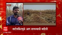 Satara Sugarcane Fire : साताऱ्यात 50 एकरावरील ऊस जळून खाक, शॉर्टसर्किटमुळे आग लागल्याची माहिती