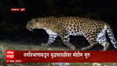 Pune : पुण्यातील चाकण एमआयडीसीमध्ये बिबट्या, नागरिकांमध्ये भीतीचं वातावरण : ABP Majha