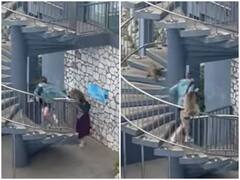 पर्यटन स्थल पर बंदरों ने किया महिला पर हमला, बचाव में आए शख्स को भी दौड़ाया