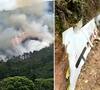 China Plane Crash : चीन विमान अपघातात 132 प्रवाशांचे मृतदेह सापडले, सापडलेल्या दोन्ही ब्लॅक बॉक्सवरून तपास सुरु