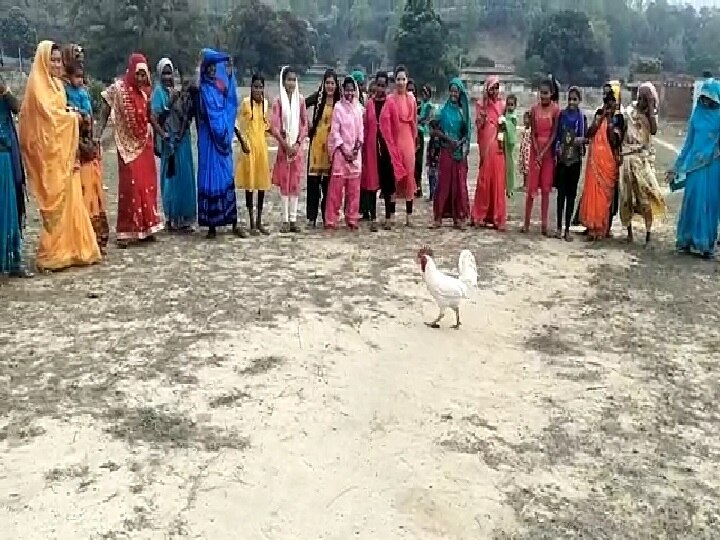 Chhattisgarh: इस गांव में होली के 2 दिन बाद होती है अजीबोगरीब प्रतियोगिता...केकड़ा, गिलहरी, मुर्गा दौड़ की है परंपरा