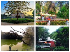 Tourist Places to Visit in Delhi in Summers: जानिए दिल्ली के उन पार्कों के बारे में, जहां आप चिलचिलाती गर्मी में भी ठंडी हवा और प्रकृति का ले सकते हैं मजा