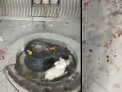 Noida में भगवान शिव के मंदिर में हुई तोड़फोड़, मिले खून के निशान, ग्रामीणों ने किया हंगामा