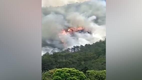 China Plane Crash: কুনমিং থেকে গুয়ানঝৌ যাওয়ার পথে দক্ষিণ চিনে ভেঙে পড়ল যাত্রীবাহী বিমান। Bangla News