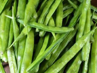 கொத்தவரங்காய் சாப்பிடுவதால் இவ்வளவு நன்மைகளா? உடனே இதைப்படிங்க..