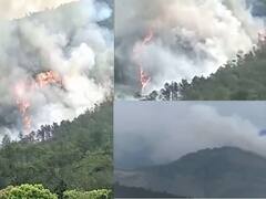 PHOTO : चीनमध्ये 133 प्रवाशांना घेऊन जाणारं विमान कोसळलं, डोंगरावर आग