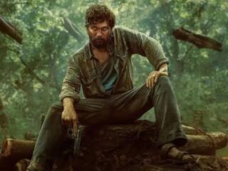 'પુષ્પા'ની થશે હવે બૉલીવુડમાં એન્ટ્રી, કયા ફિલ્મમેકર સાથે હિન્દી ફિલ્મમાં કામ કરવા કરી મુલાકાત, જાણો વિગતે