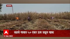 Satara Short Circuit : शॉर्टसर्किटमुळे लागली आग, 50 एकर ऊस जळून खाक