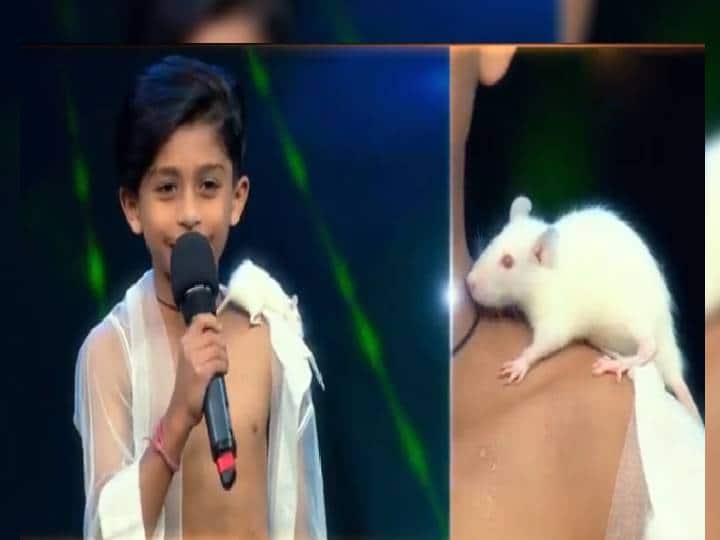 Vignesh Salunke and his pet mouse on DID Lil Masters stage goes viral on internet #DIDLilMasters : तळकोकणातील विघ्नेश साळुंखे आणि त्याच्या उंदीर मामानं केलाय कल्ला! ‘डान्स इंडिया डान्स’च्या मंचावर जोडीची चर्चा