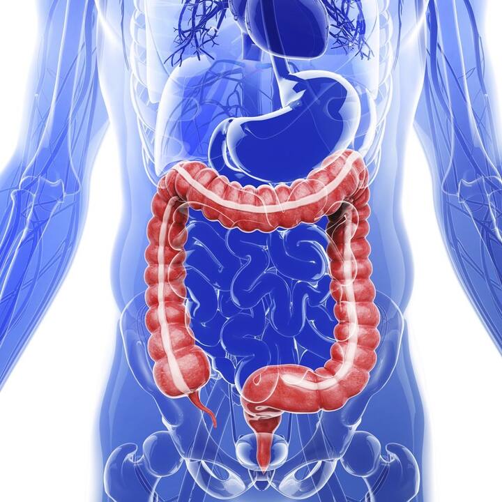 પાચનતંત્રને મજબૂત બનાવે છે:  વરિયાળીના બીજ પાચનતંત્રને સ્વસ્થ રાખે છે,અને શરીરને પાચનમાં મદદ કરે છે.