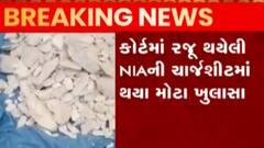 મુંદ્રા પોર્ટ પરથી પકડાયેલા ડ્રગ્સ કેસમાં થયો મોટો ઘટસ્ફોટ, જુઓ ગુજરાતી ન્યૂઝ