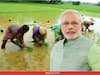 PM મોદીએ PM Kisan Scheme વિશે કર્યું ટ્વિટ, આપી આ મોટી માહિતી, તમે પણ જલ્દી રજિસ્ટ્રેશન કરાવો