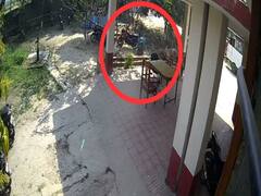 बेतिया कांड: मधुमक्खियों ने ली थी कैदी का जान! सामने आया CCTV फुटेज, जान बचाने के लिए भागता दिख रहा शख्स