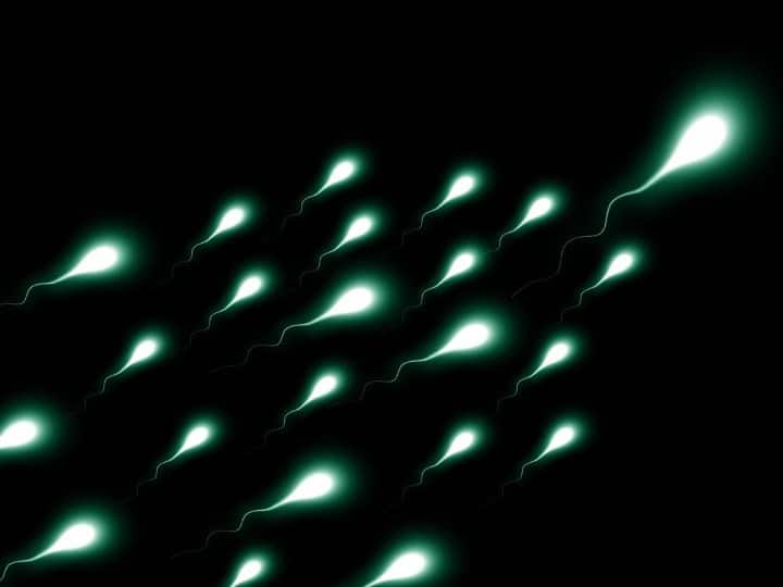 Sperm Count: ఈ మూడు ఆహారాలు వీర్యకణాల సంఖ్యను తగ్గిస్తాయి, హెచ్చరిస్తున్న అధ్యయనాలు All three foods reduce sperm count, warns studies Sperm Count: ఈ మూడు ఆహారాలు వీర్యకణాల సంఖ్యను తగ్గిస్తాయి, హెచ్చరిస్తున్న అధ్యయనాలు