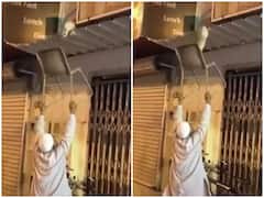 ऊंचाई पर फंसी बिल्ली तो शख्स ने कुर्सी के जरिए की मदद, दिल जीत लेगा वीडियो
