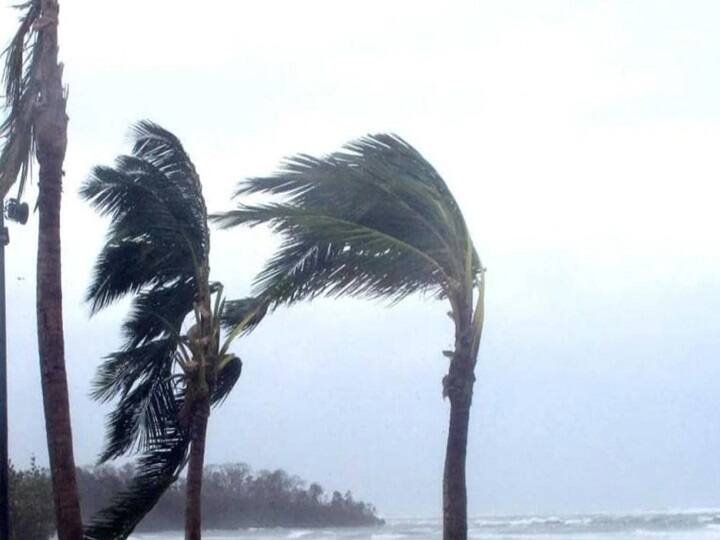 No cyclone warning around andaman islands says weather forecast department Cyclone: ”புஸ்ஸான புயல்... வாய்ப்பில்லை ராஜா” வானிலை ஆய்வு மைய தகவலால் ஆறுதல்..