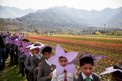 IN PICS | Asia's Largest Tulip Garden To Reopen On March 23 In Srinagar With 1.5 Million Flowers