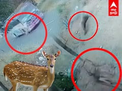 Madurai: தீயிலிருந்து தப்பித்து பேருந்தில் சிக்கிய மான்!