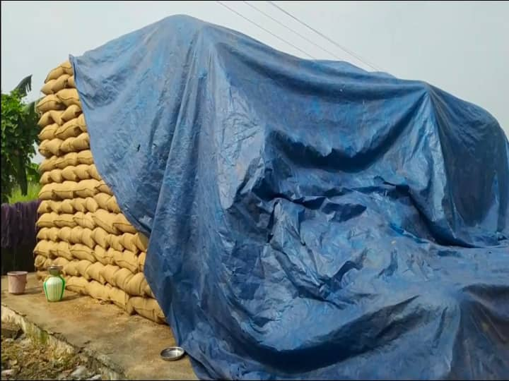 Theft of 47 bundles of paddy at Pattamangalam Government Direct Purchasing Station near Nagapattinam நாகை அருகே பட்டமங்கலம் அரசு நேரடி கொள்முதல் நிலையத்தில் 47 நெல் மூட்டைகள் திருட்டு