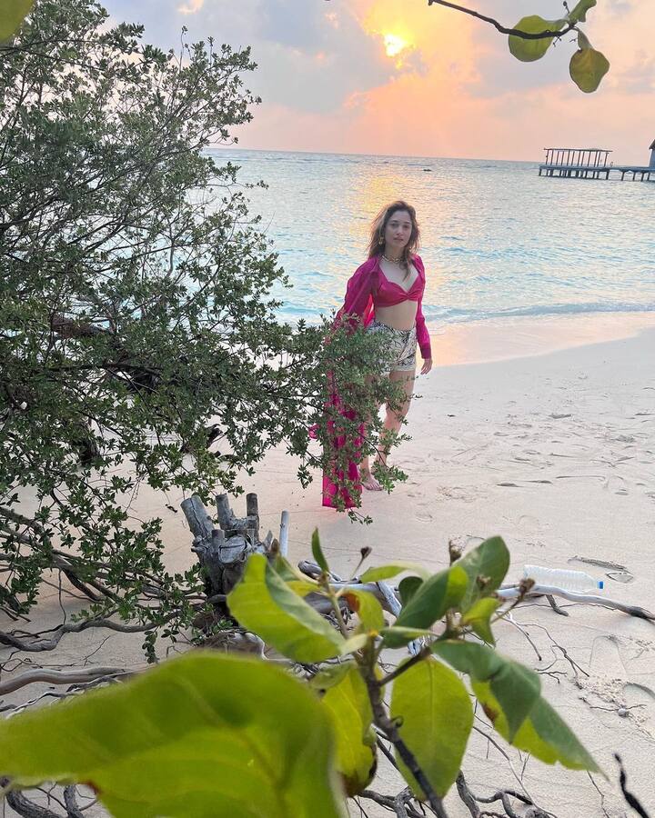 अभिनेत्री वरुण तेज स्टारर 'घनी'मध्ये एक खास डान्स नंबरही सादर करत आहे. एसएस थमन यांनी संगीतबद्ध केलेल्या या गाण्याचे नाव कोडथे असे आहे. (photo:tamannaahspeaks/ig)