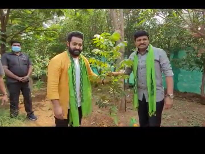 Actor Jr NT Rama Rao plants sapling with MP Santosh Kumar. (Image: Special arrangement)