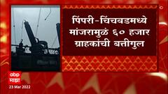 pimpri chinchwad : पिंपरी चिंचवडला चक्क एका मांजरीमुळं शंभर कोटींचा फटका : ABP Majha