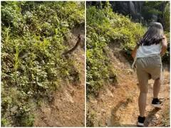 पहाड़ी चढ़ते समय हाइकर्स के ग्रुप पर अचानक सांप ने किया अटैक, रोंगटे खड़े कर देगा वीडियो