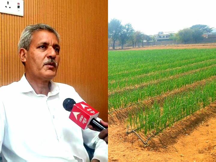 Jodhpur Weather News due to excessive heat these big losses will happen to the crops ann Jodhpur Weather News: बढ़ते तापमान ने बढ़ाई किसानों की टेंशन, ज्यादा गर्मी से फसलों को होंगे ये बड़े नुकसान