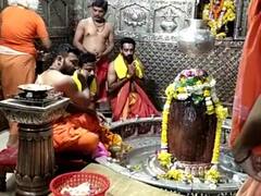 Ujjain: उज्जैन में भगवान महाकाल के दरबार में पहुंचे क्रिकेटर धवल कुलकर्णी, विधि-विधान से किया पूजन