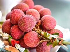 Bihar: मार्च में ही बढ़ने लगा तापमान, लीची के फसल पर मंडराने लगे संकट के बादल, किसानों को ये सलाह